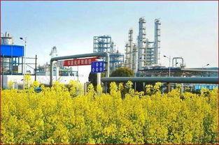 麻m豆m传m煤m国产入口